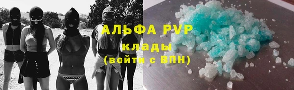 гидра Богородицк