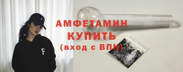 гидра Богородицк