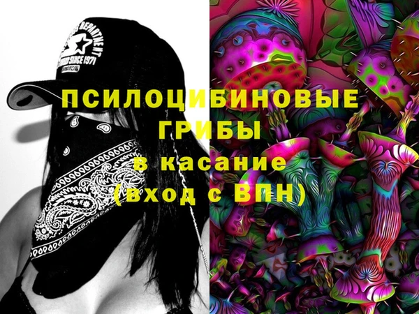 круглые Белокуриха
