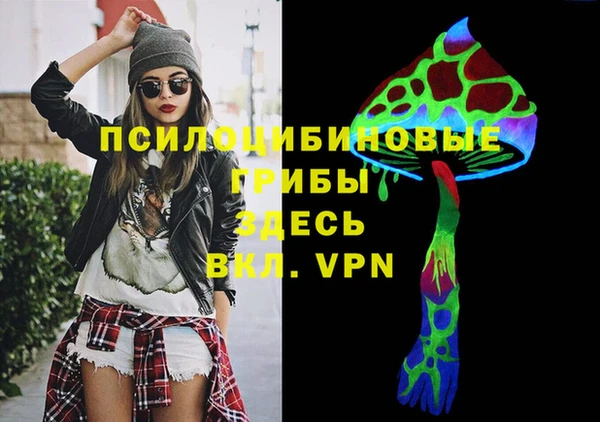 круглые Белокуриха