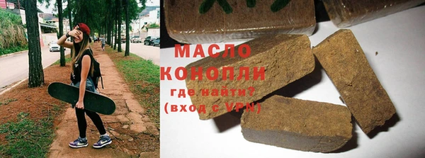 гидра Богородицк
