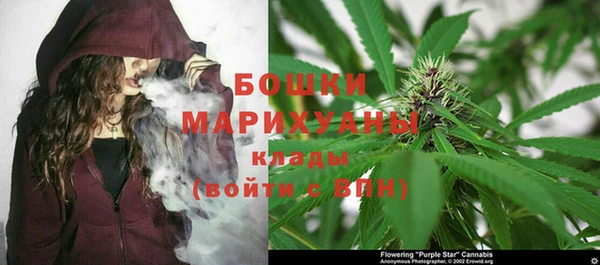 круглые Белокуриха