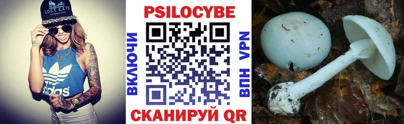 Псилоцибиновые грибы мицелий  MEGA ТОР  Гремячинск 